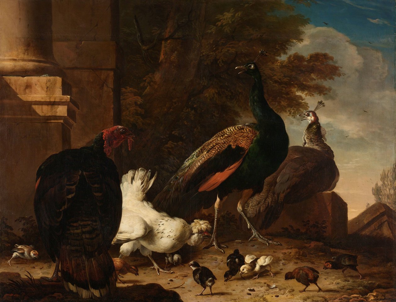 Una gallina con pavoni e un tacchino da Melchior d