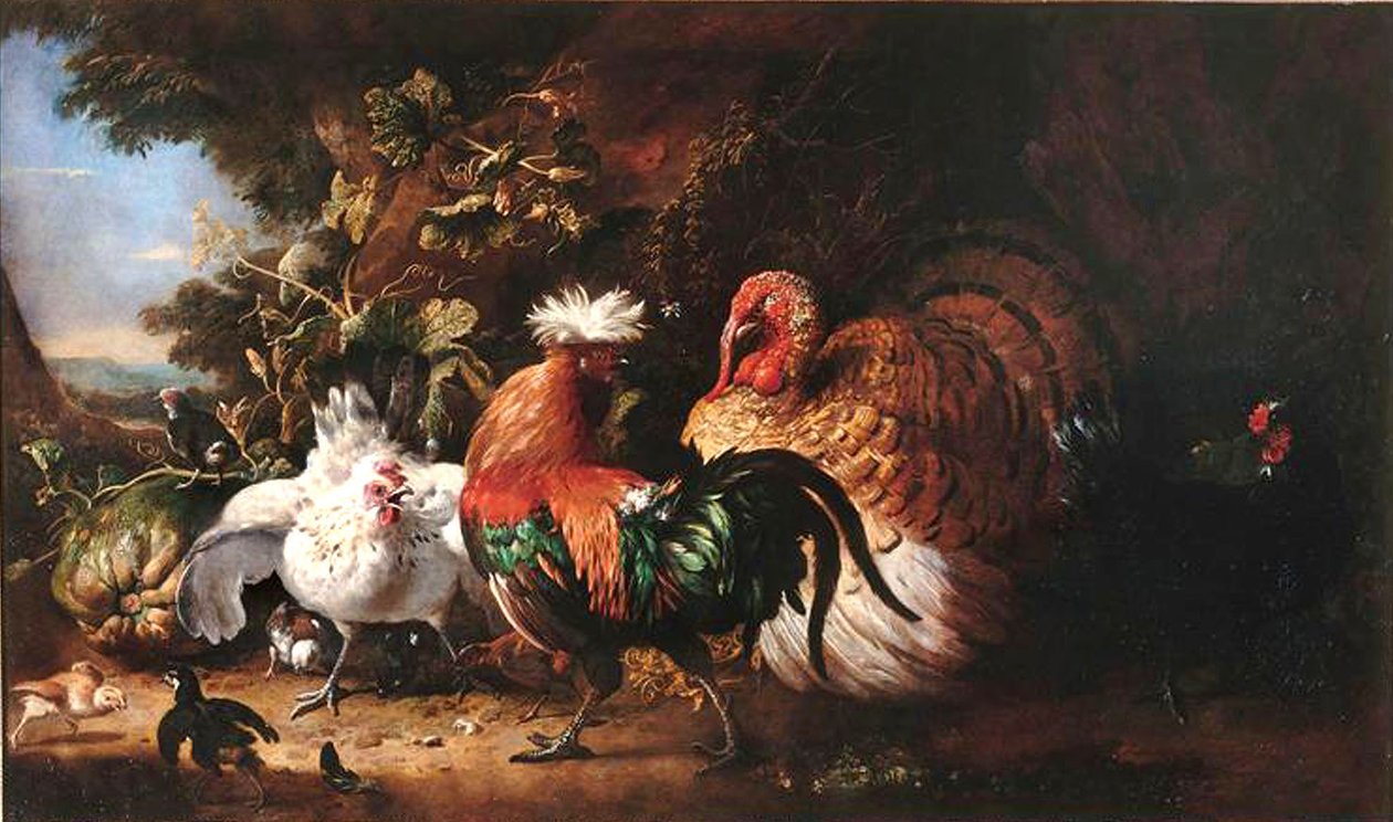 Francese: Oiseaux de basse-cour da Melchior d