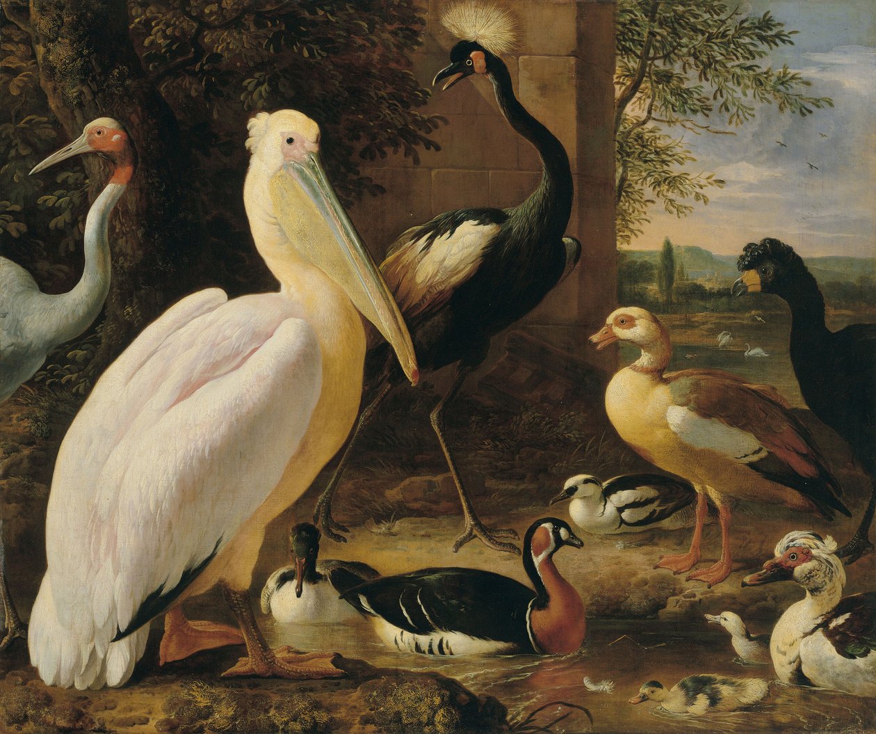 Pellicano, gru coronata, passera, gru sarus e anatre in un paesaggio fluviale da Melchior d