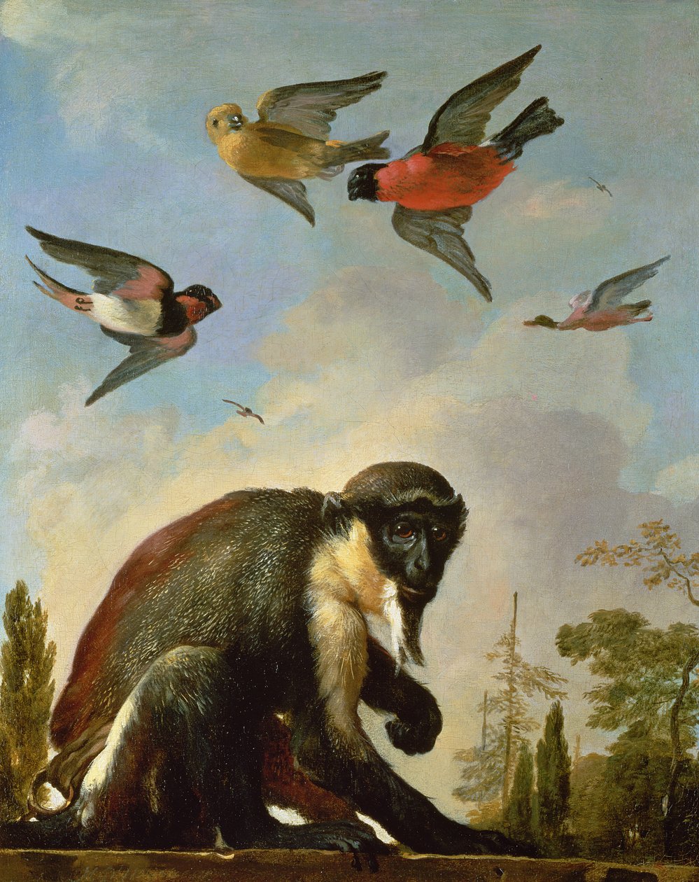 Scimmia incatenata in un paesaggio da Melchior de Hondecoeter