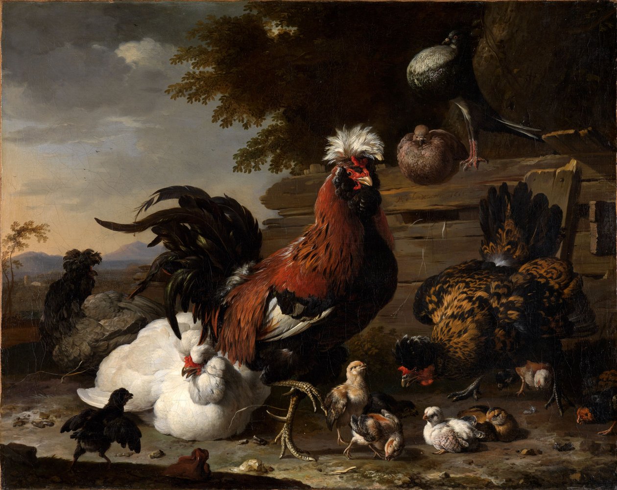 La pace nel cortile dei polli da Melchior de Hondecoeter