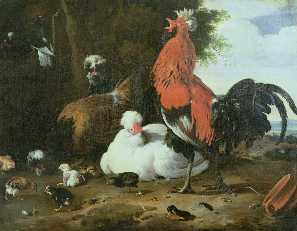 Pollame da cortile con piccioni da Melchior de Hondecoeter