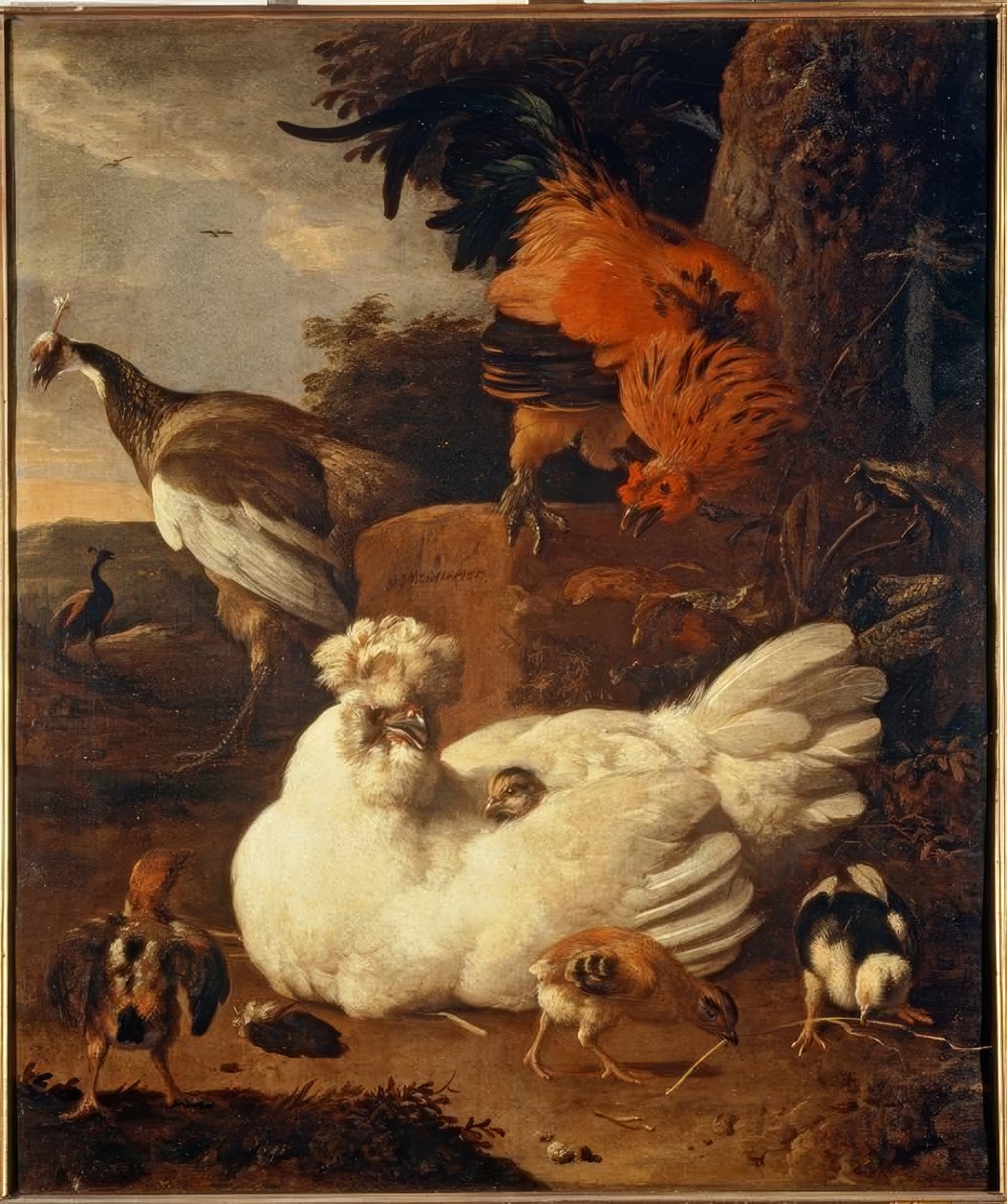 Chioccia con pulcini da Melchior de Hondecoeter