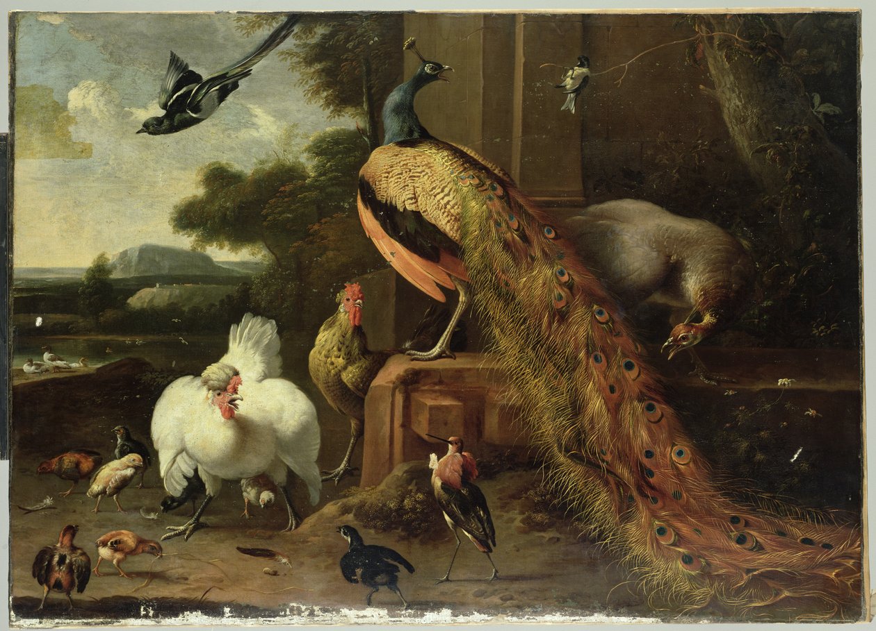 Rivolta nel pollaio da Melchior de Hondecoeter