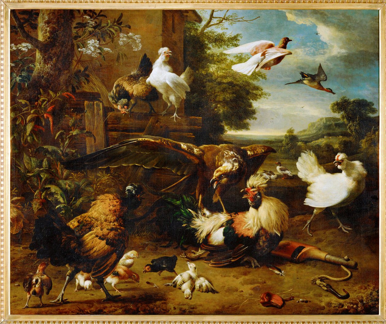 Il falco nel cortile delle galline (dipinto su tela) da Melchior de Hondecoeter