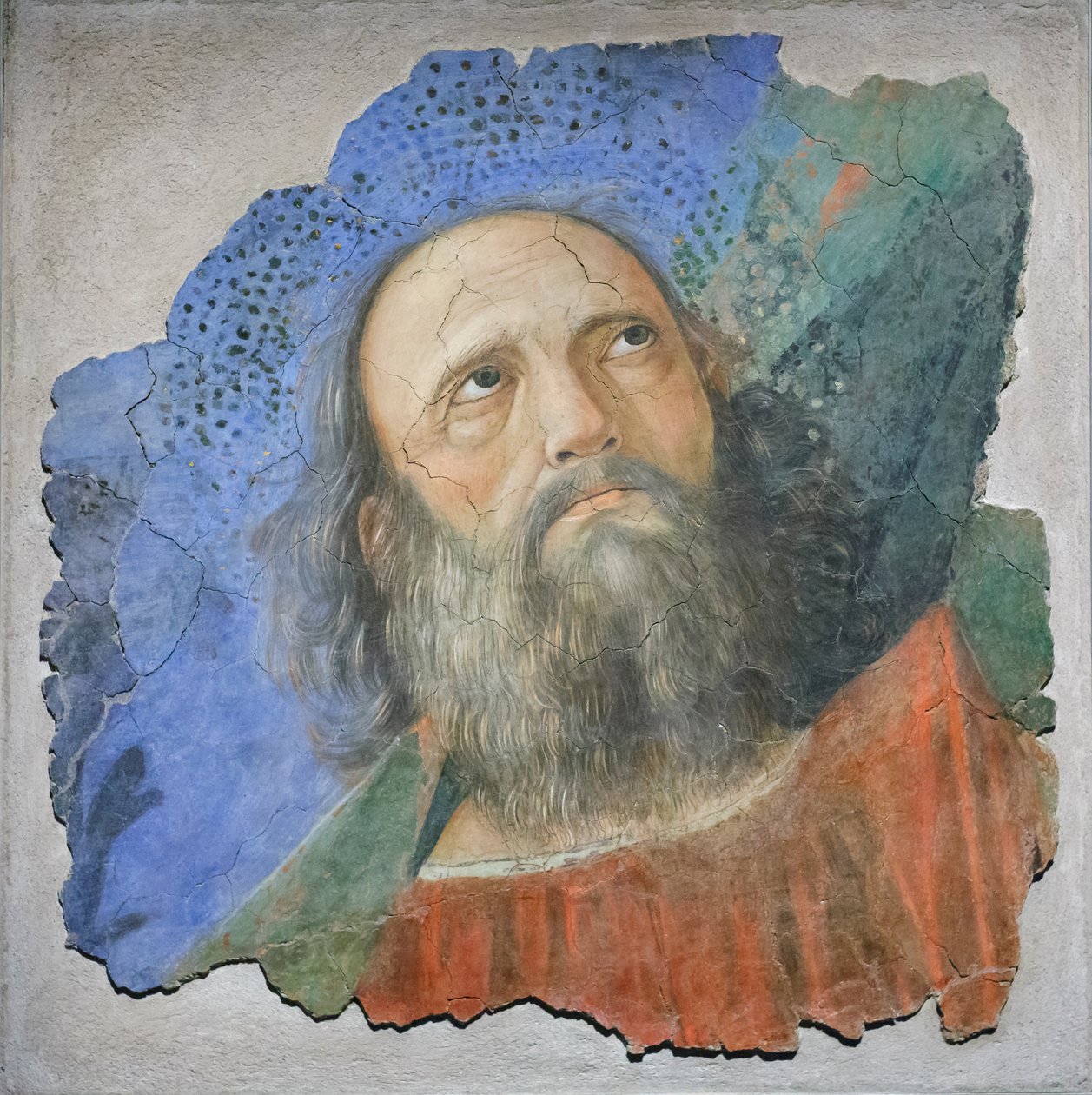 Testa di apostolo, c.1480 da Melozzo da Forli