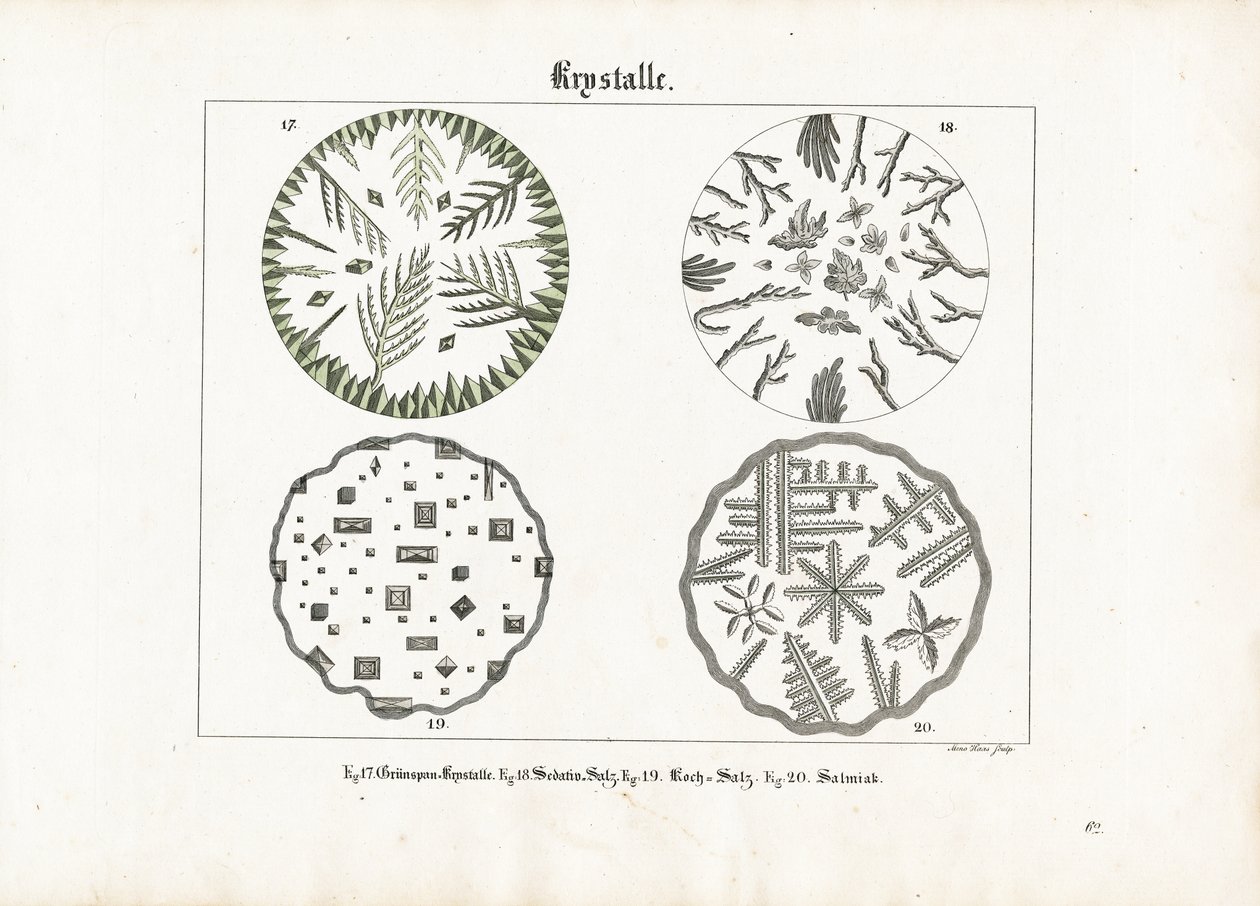 Forme cristalline di vari sali da Meno Haas