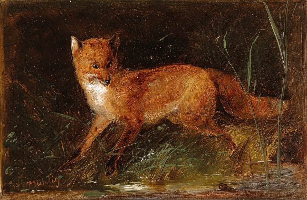 Meno Mühlig Fuchs da Meno Muhlig