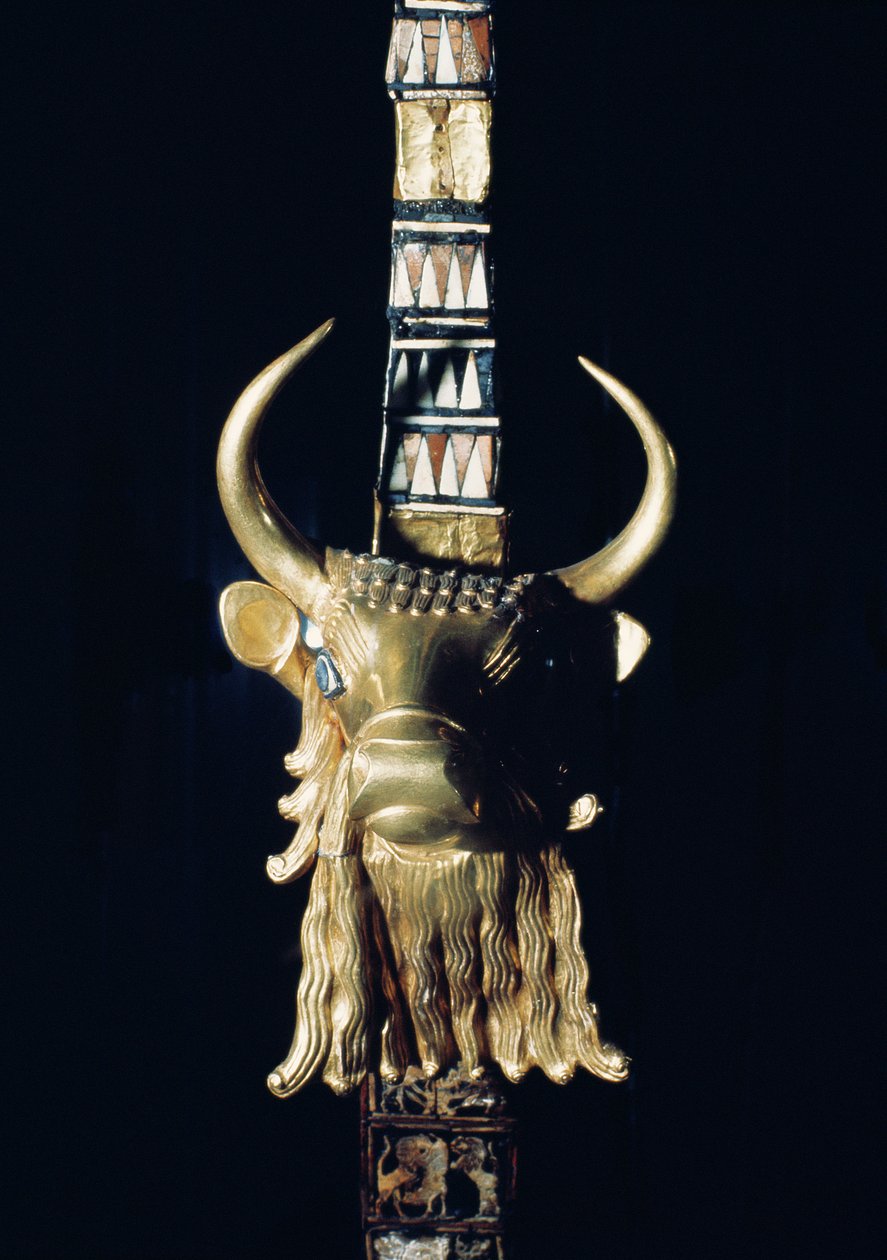 Testa di un toro, decorazione di un
