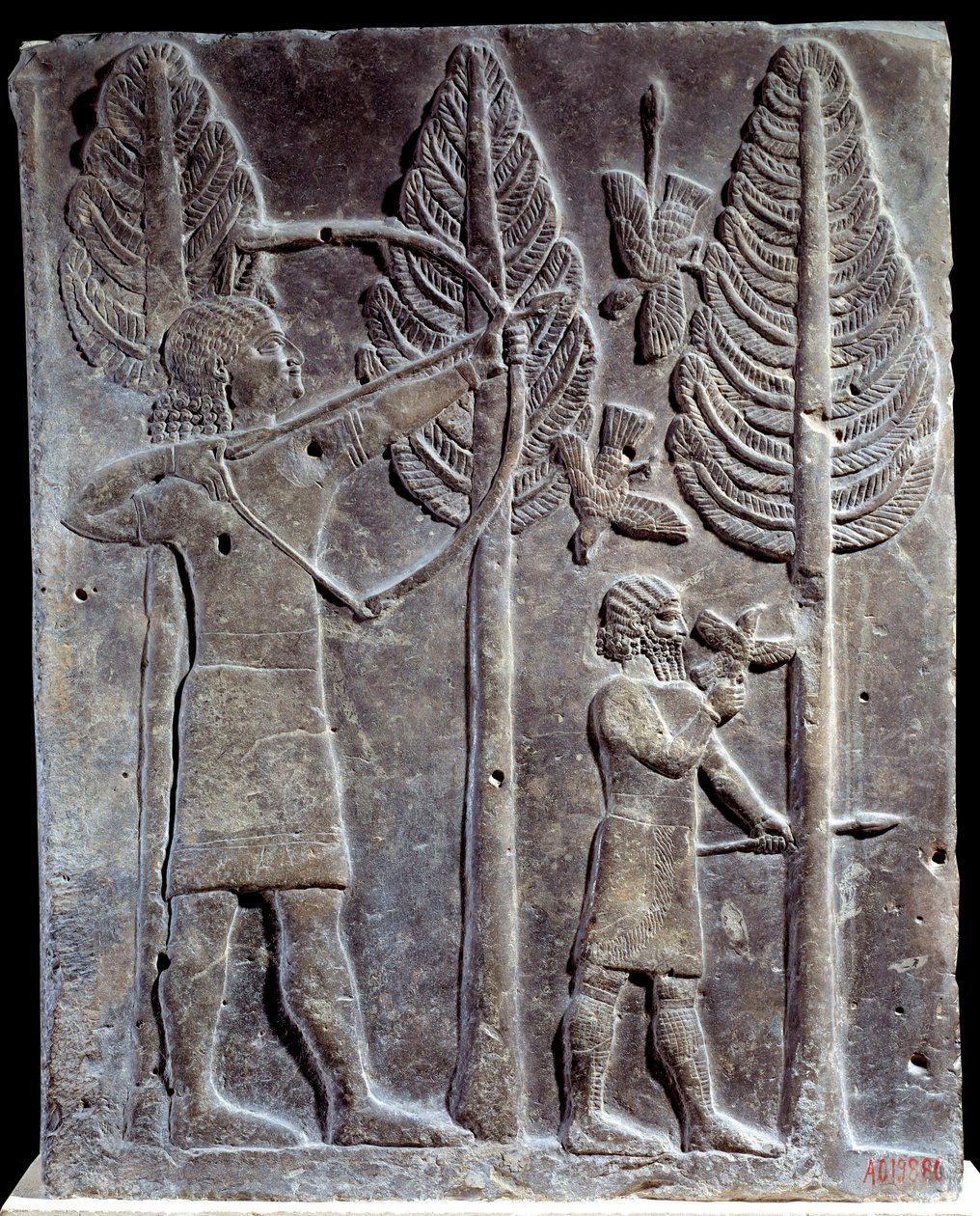 Scena di caccia agli uccelli. Bassorilievo in alabastro dal Palazzo di Sargon II o Sharroukin, Re di Assiria a Khorsabad (Khunsabad) (Mesopotamia), Iraq. 722-705 a.C. Parigi, Louvre da Mesopotamian Mesopotamian