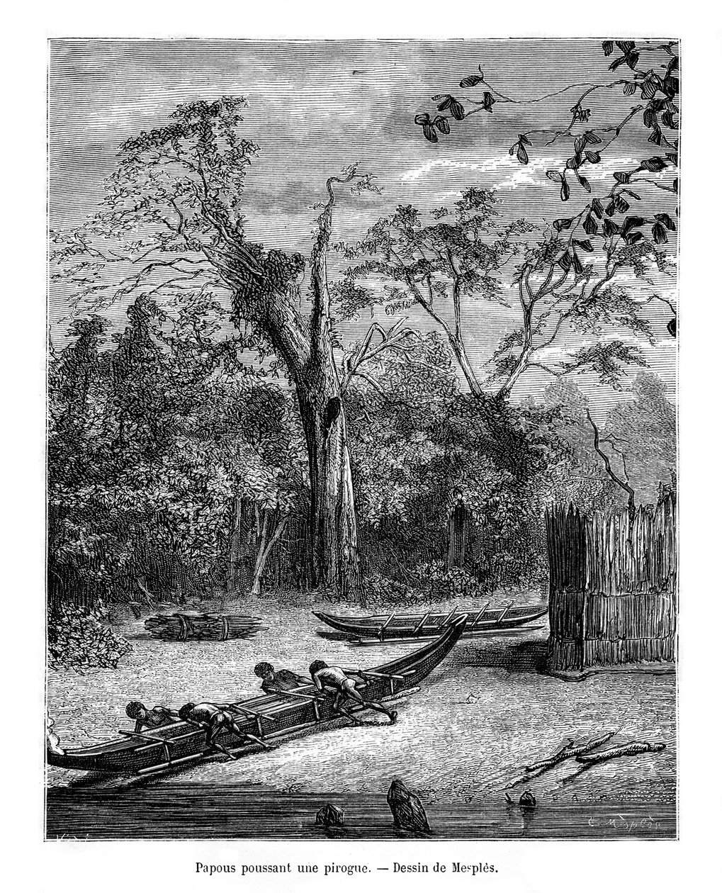 Canoa da pesca, Papua da Mesples