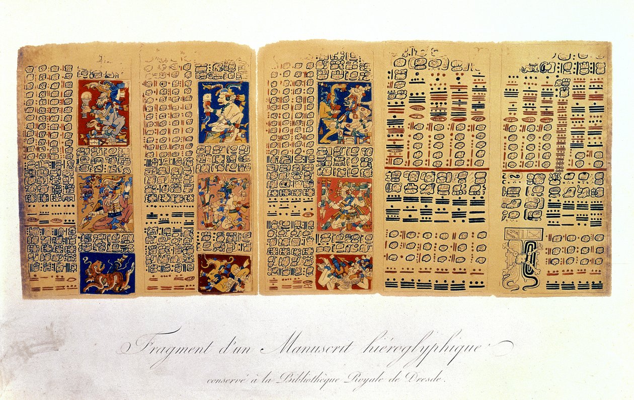 Copia di un frammento del Codice di Dresda con calcoli astronomici Maya da Mexican School