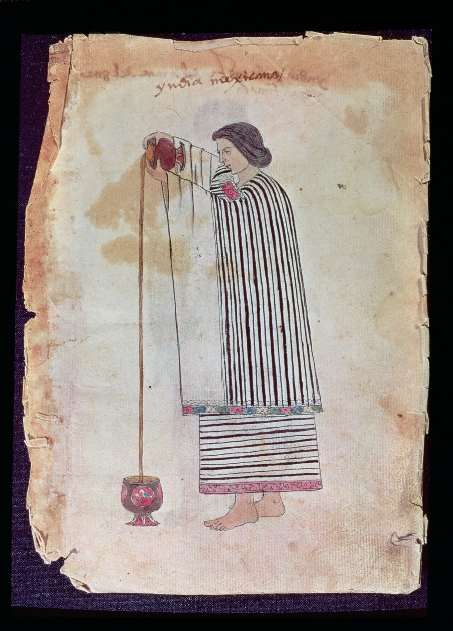 Indiano messicano che prepara cioccolata, dal Codice Tudela, 1553 da Mexican School