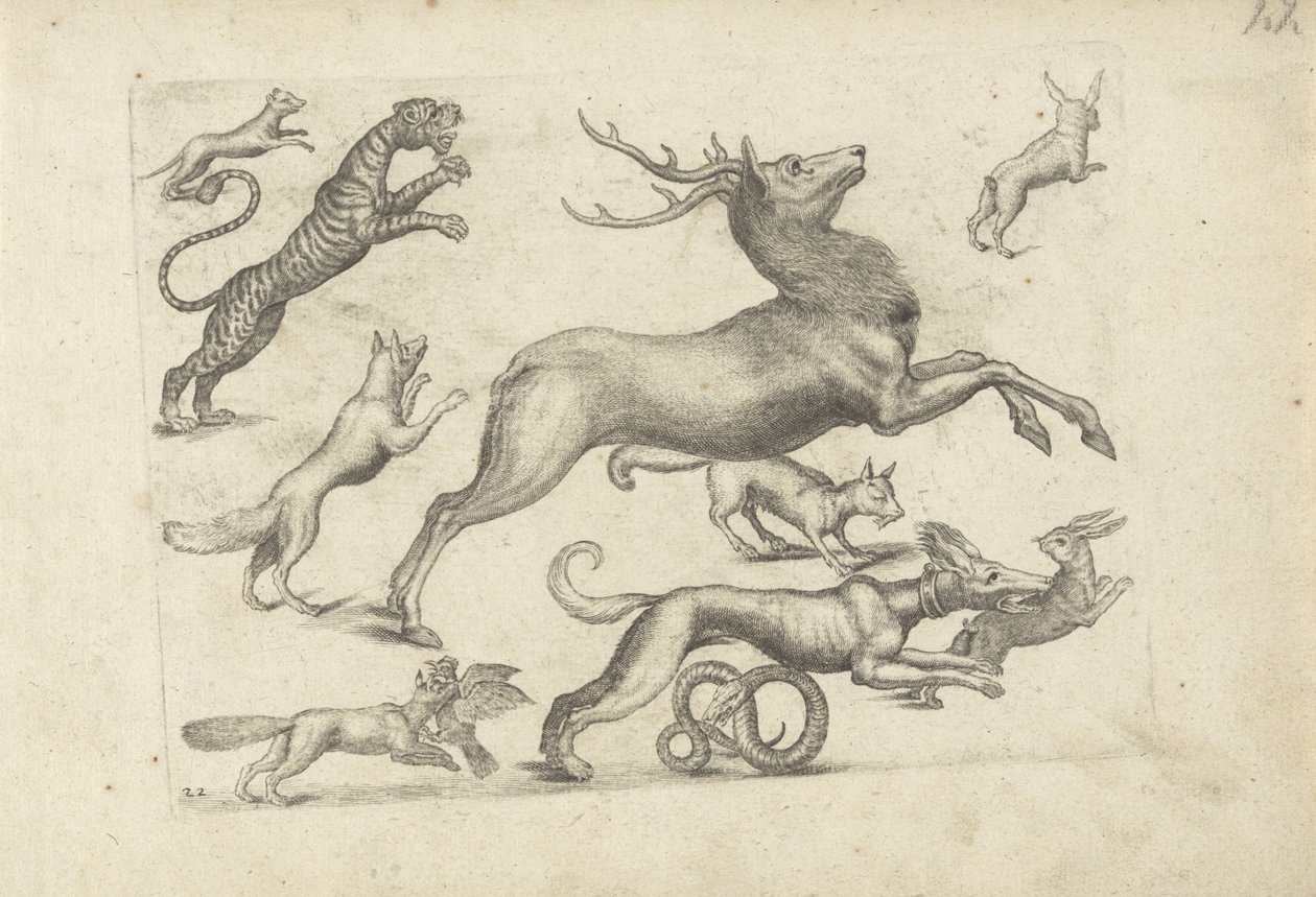 Foglio di studio con esempi di disegno: vari animali da Michael Snijders (attributed to)