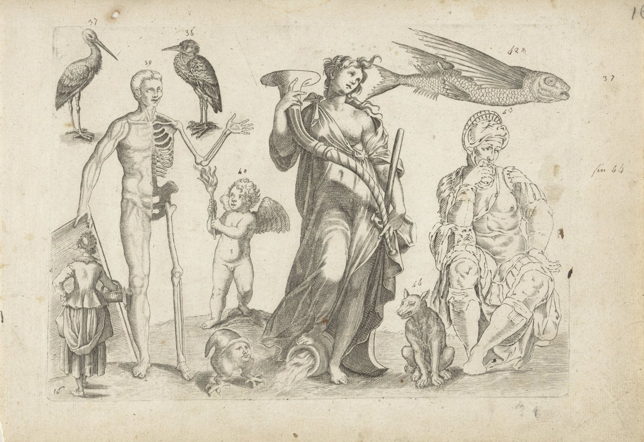 Foglio di esercitazione con esempi di disegno: animali e figure varie da Michael Snijders