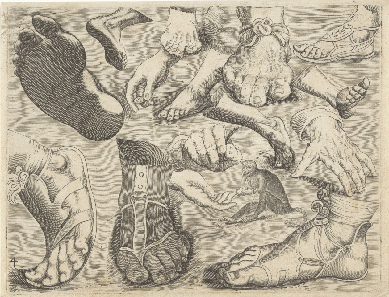 Esempi di disegno da Michael Snijders