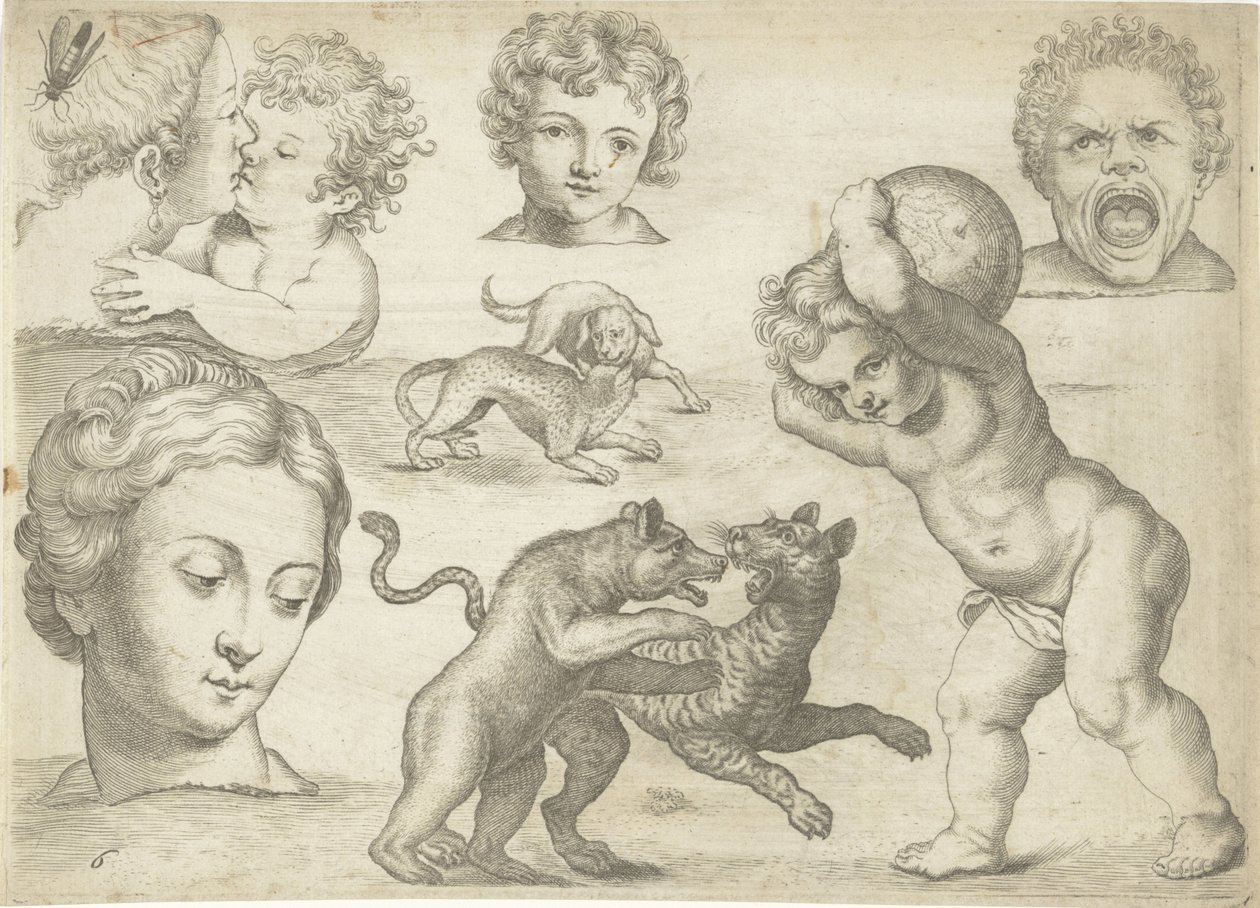 Esempi di disegno da Michael Snijders