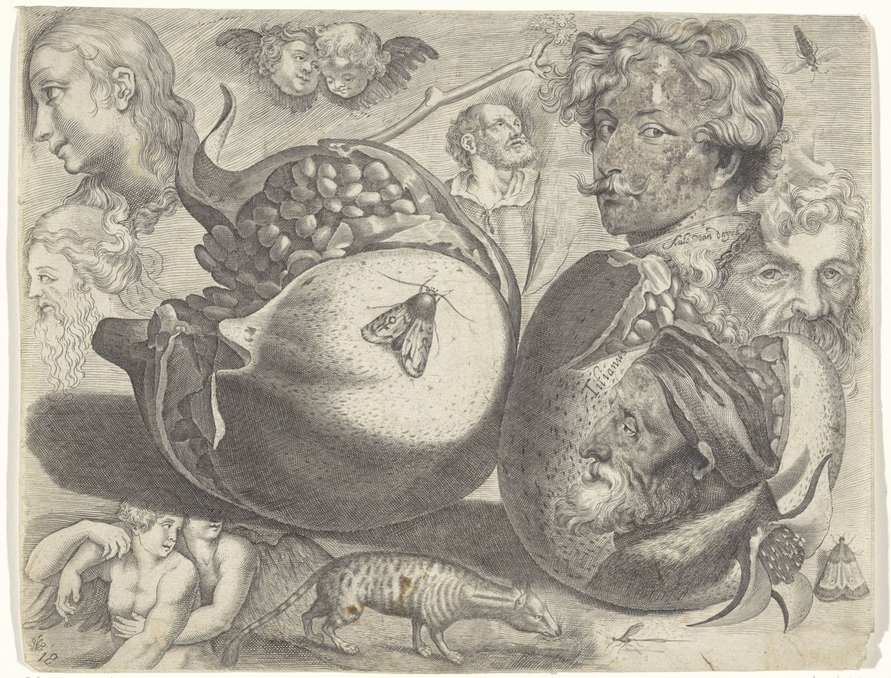 Foglio di studio con esempi di disegno: teste, figure, frutti, animali da Michael Snijders