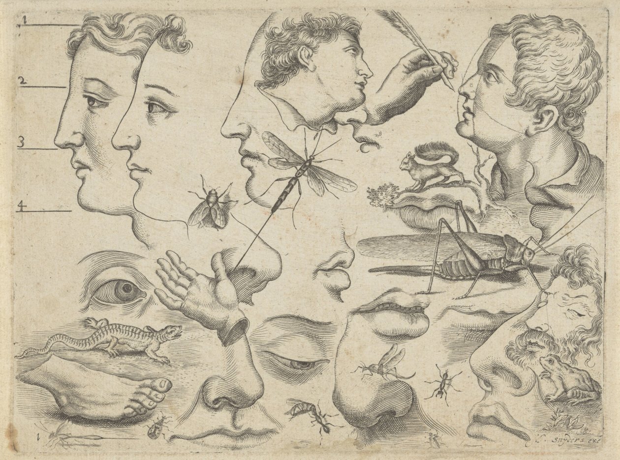 Foglio di studio con esempi di disegno: teste, parti del corpo e animali (Tekenvoorbeelden) da Michael Snijders