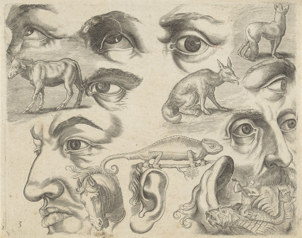 Esempi di disegno da Michael Snijders