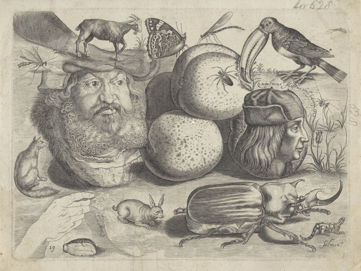 Foglio di studio con esempi di disegno: ritratti, animali, insetti (Tekenvoorbeelden) da Michael Snijders