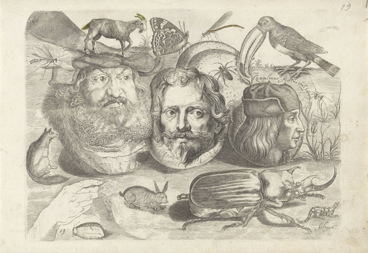 Foglio di esercitazione con esempi di disegni: ritratti, animali, insetti da Michael Snijders