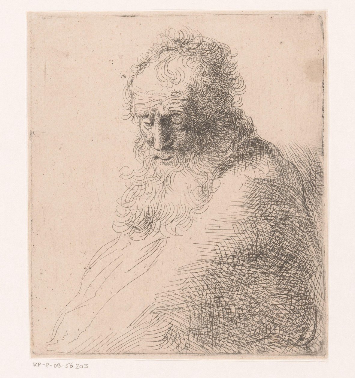 Busto di un vecchio con barba da Michael Willmann (attributed to)