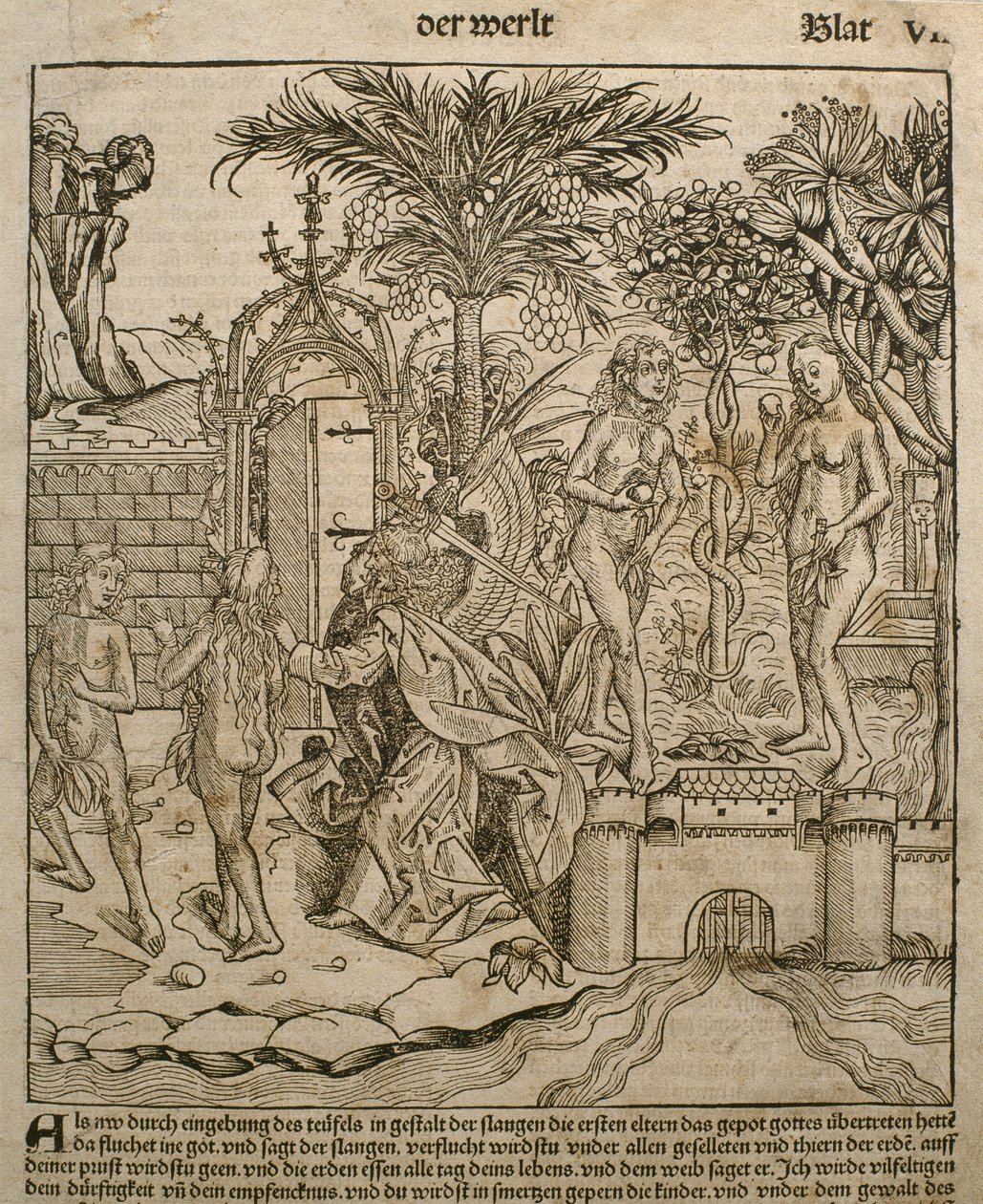 Adamo ed Eva, illustrazione dal 