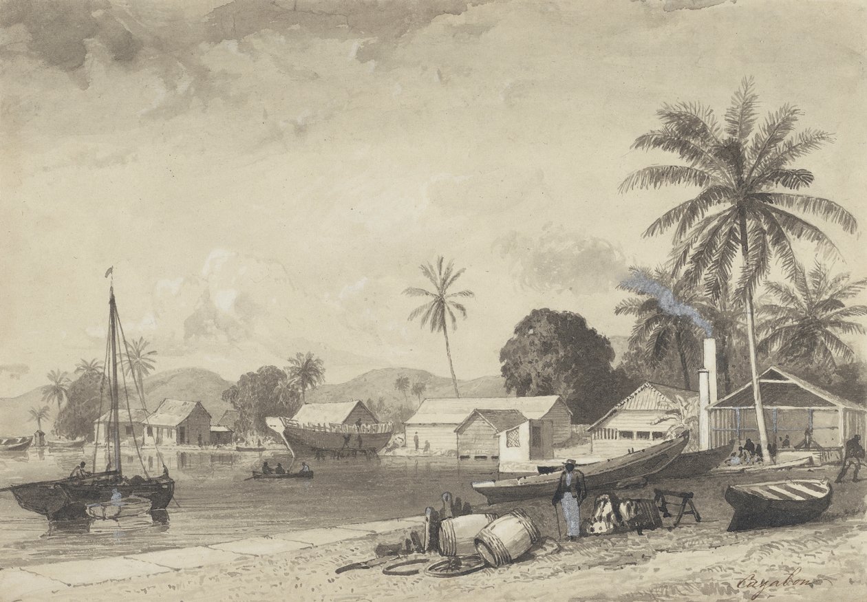Corbeaux Town, Port of Spain da Michel Jean Cazabon