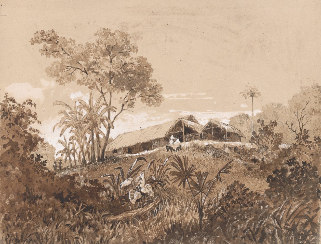 Il cottage, Monte Tamana da Michel Jean Cazabon
