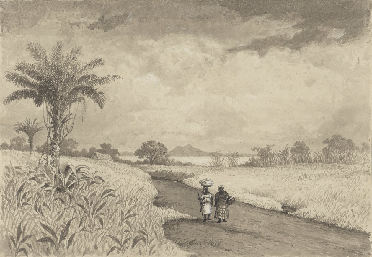 La strada per il Lago di Pece da Michel Jean Cazabon