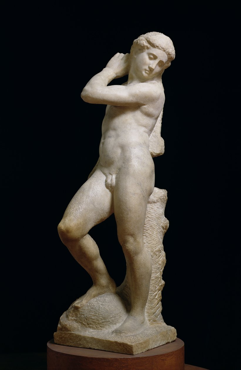 Apollo, o David, c.1530 da Michelangelo Buonarroti