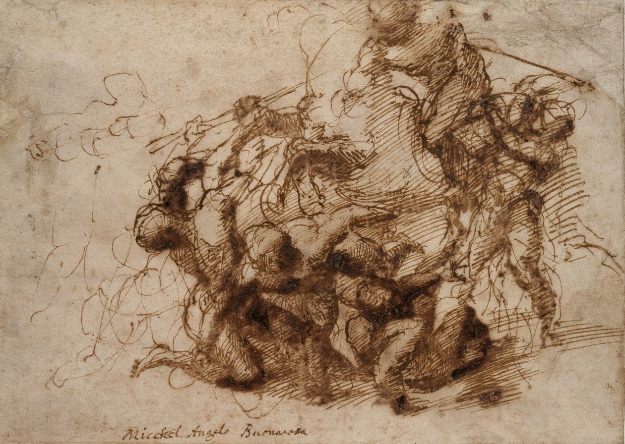 Studio di lotta per la 