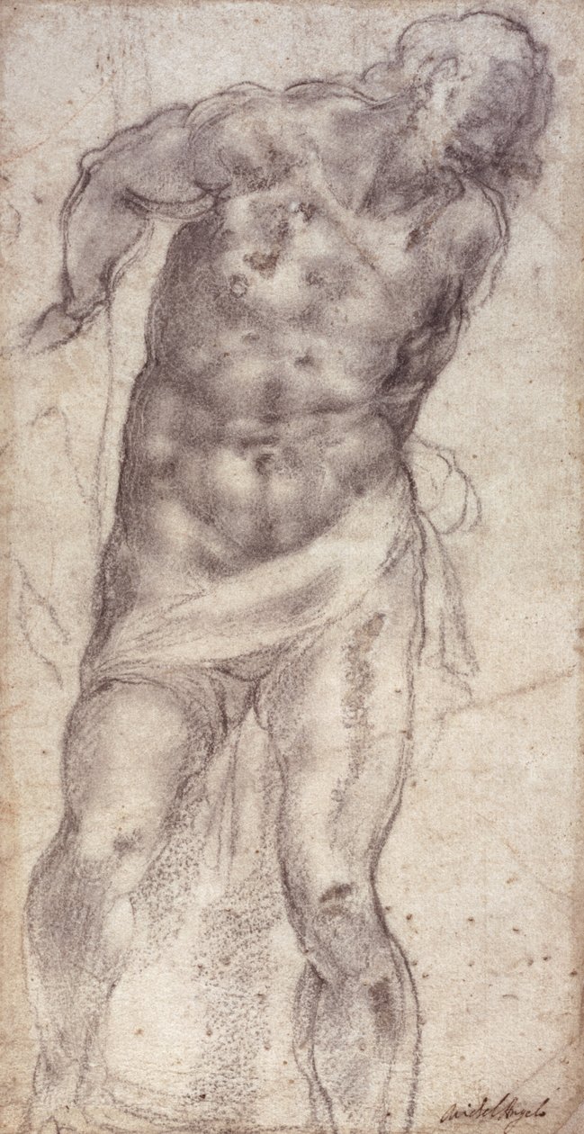 Studio di Figura da Michelangelo Buonarroti