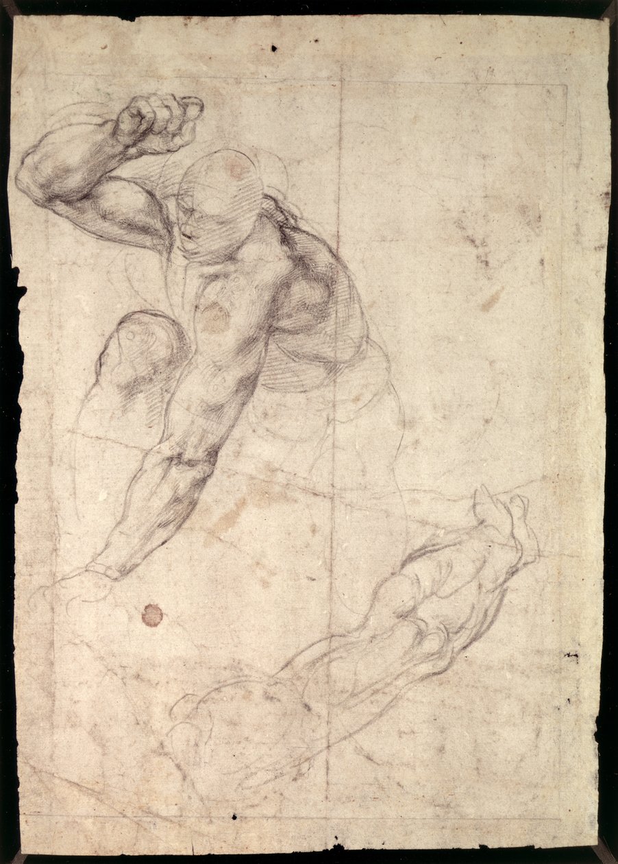 Studio di figura maschile da Michelangelo Buonarroti