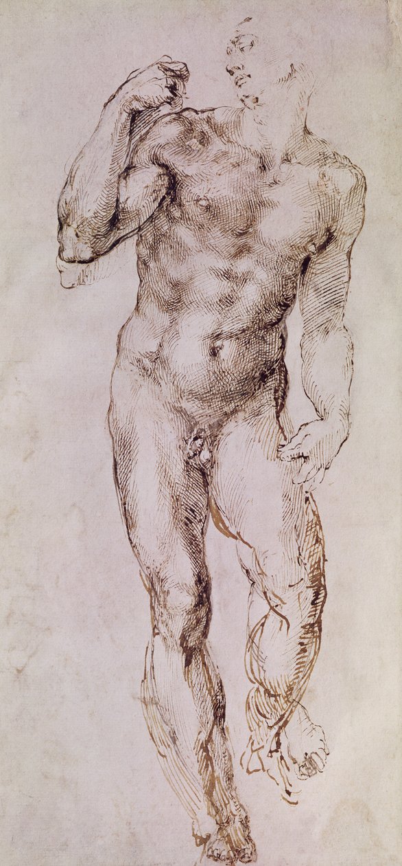 Schizzo di Davide con la sua fionda, 1503-4 da Michelangelo Buonarroti