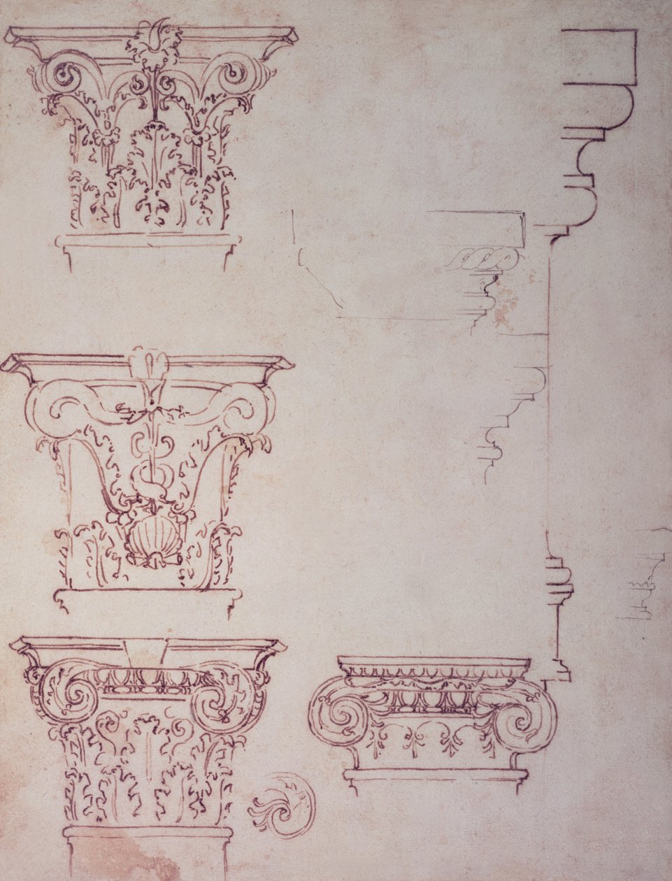 Studi per un capitello da Michelangelo Buonarroti