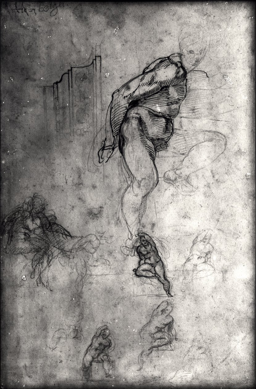 Studi per figure nel soffitto della Sistina (penna e inchiostro e matita su carta) da Michelangelo Buonarroti
