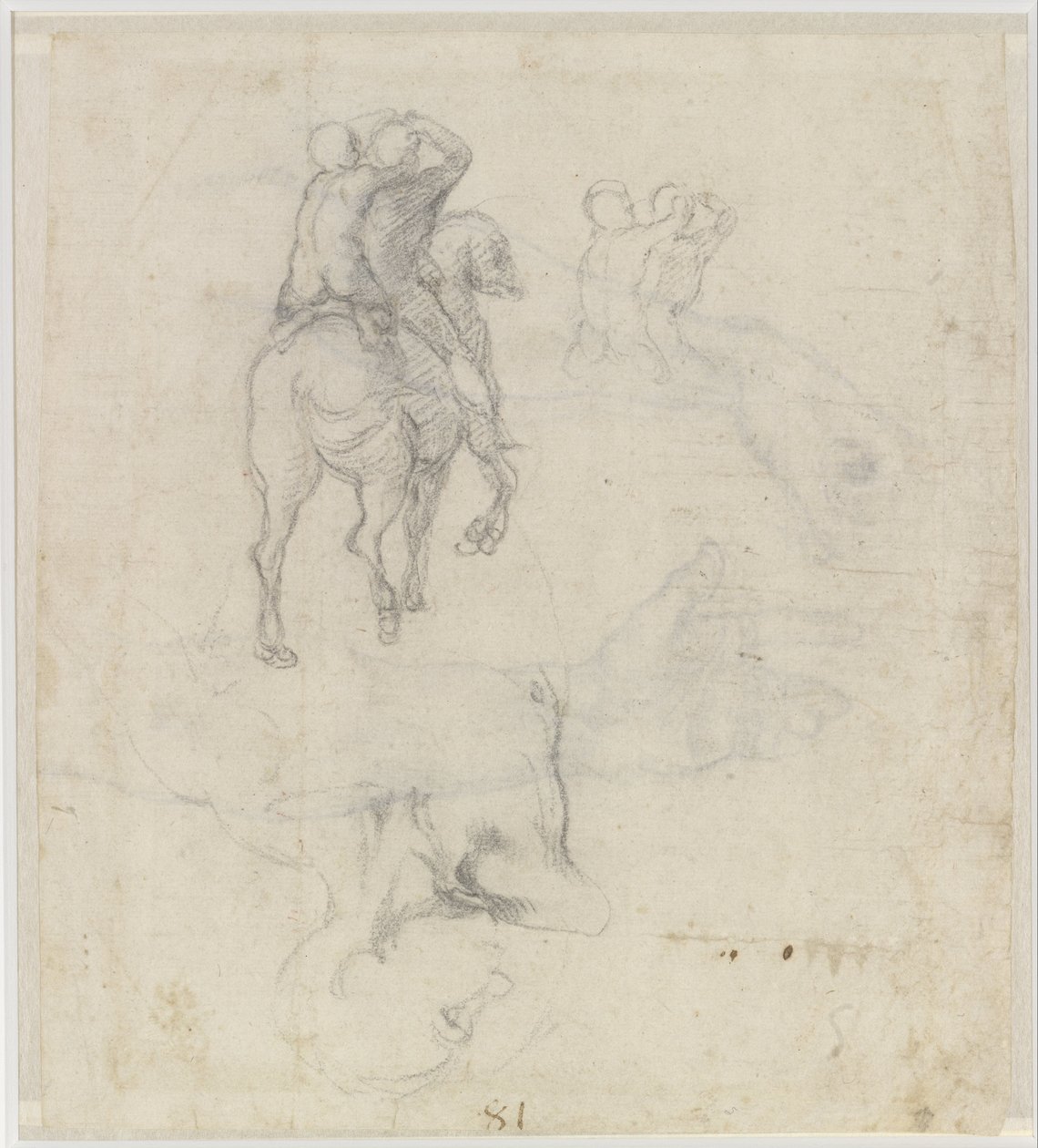 Studi di un cavallo con due cavalieri nudi e un torso maschile da Michelangelo Buonarroti