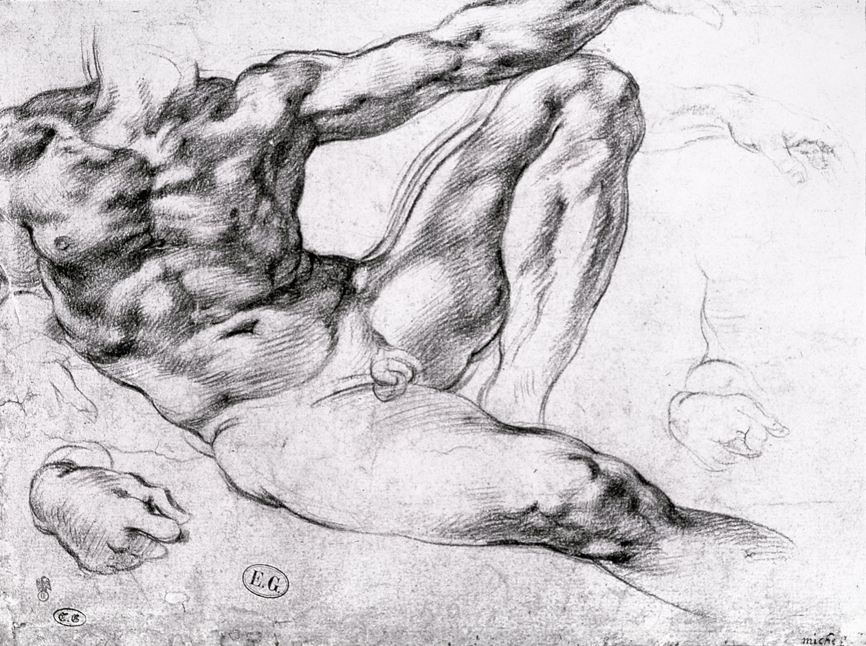 Studio per la Creazione di Adamo da Michelangelo Buonarroti