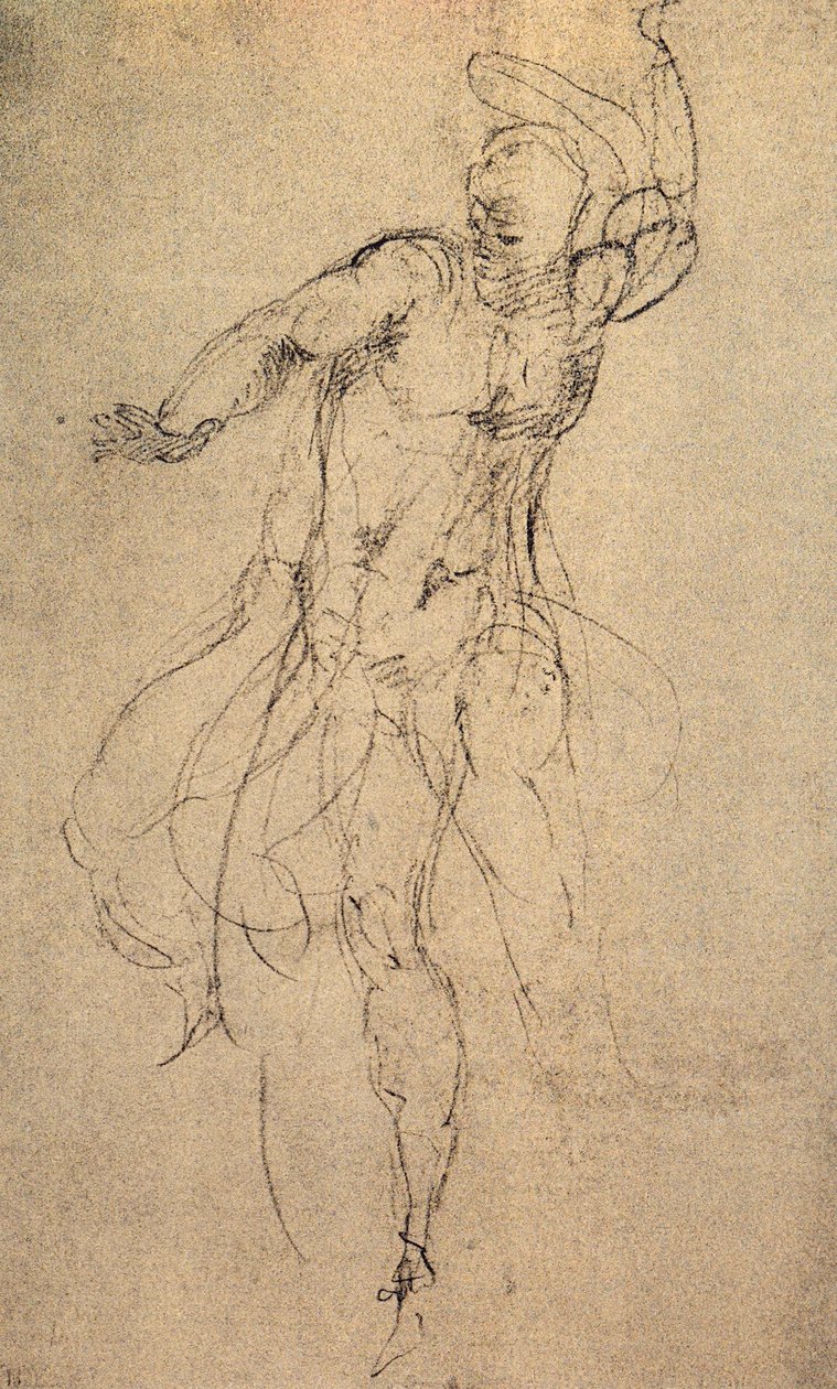 Studio per il Giudizio Universale; disegno di Michelangelo. Casa Buonarroti, Firenze da Michelangelo Buonarroti