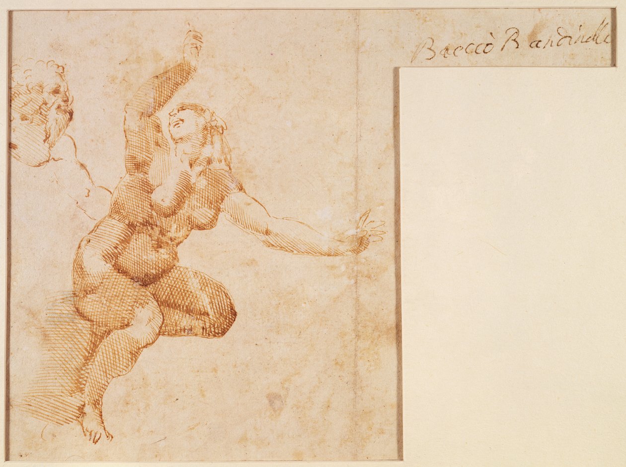 Studio di un nudo femminile da Michelangelo Buonarroti