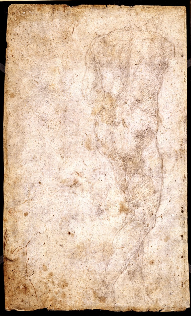 Studio di un nudo maschile da Michelangelo Buonarroti
