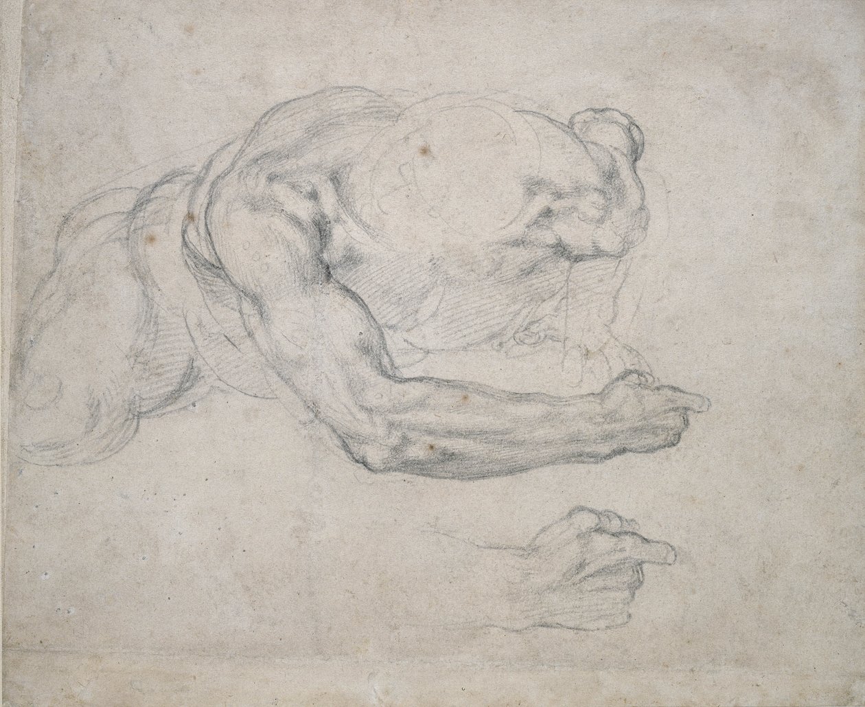Studio di un uomo che si alza da terra da Michelangelo Buonarroti