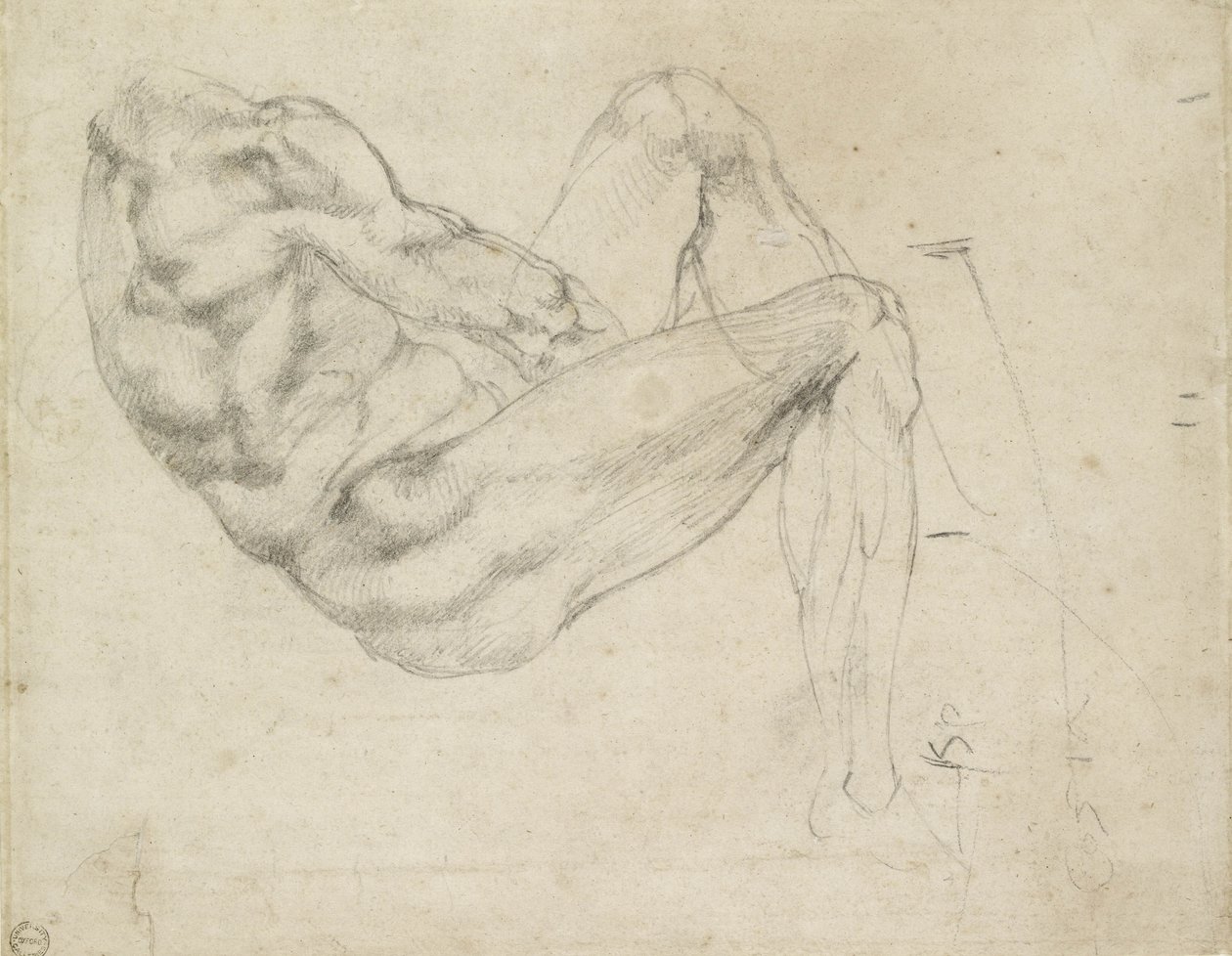 Studio di una figura maschile distesa, recto da Michelangelo Buonarroti