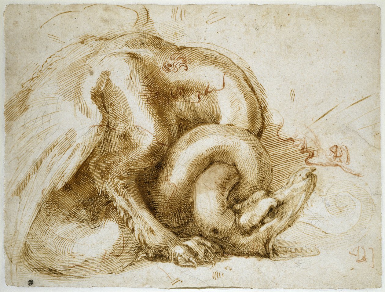 Studio di un mostro alato, c.1525 (gesso rosso e nero su carta) da Michelangelo Buonarroti
