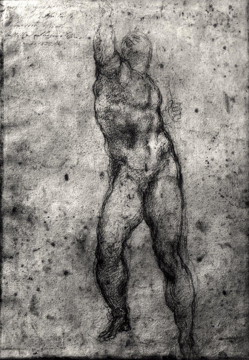 Studio di un nudo maschile da Michelangelo Buonarroti