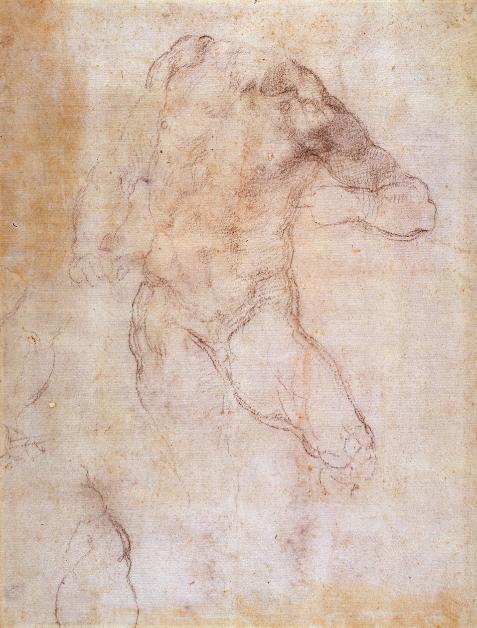 Studio di un nudo maschile da Michelangelo Buonarroti