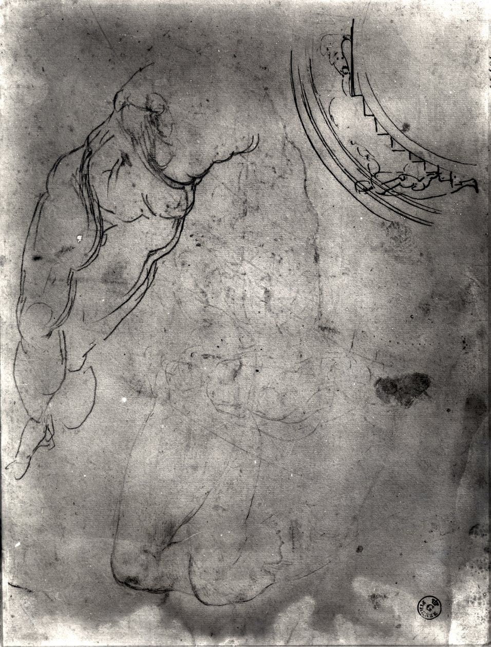 Studio di un nudo maschile (penna e inchiostro e matita su carta) da Michelangelo Buonarroti