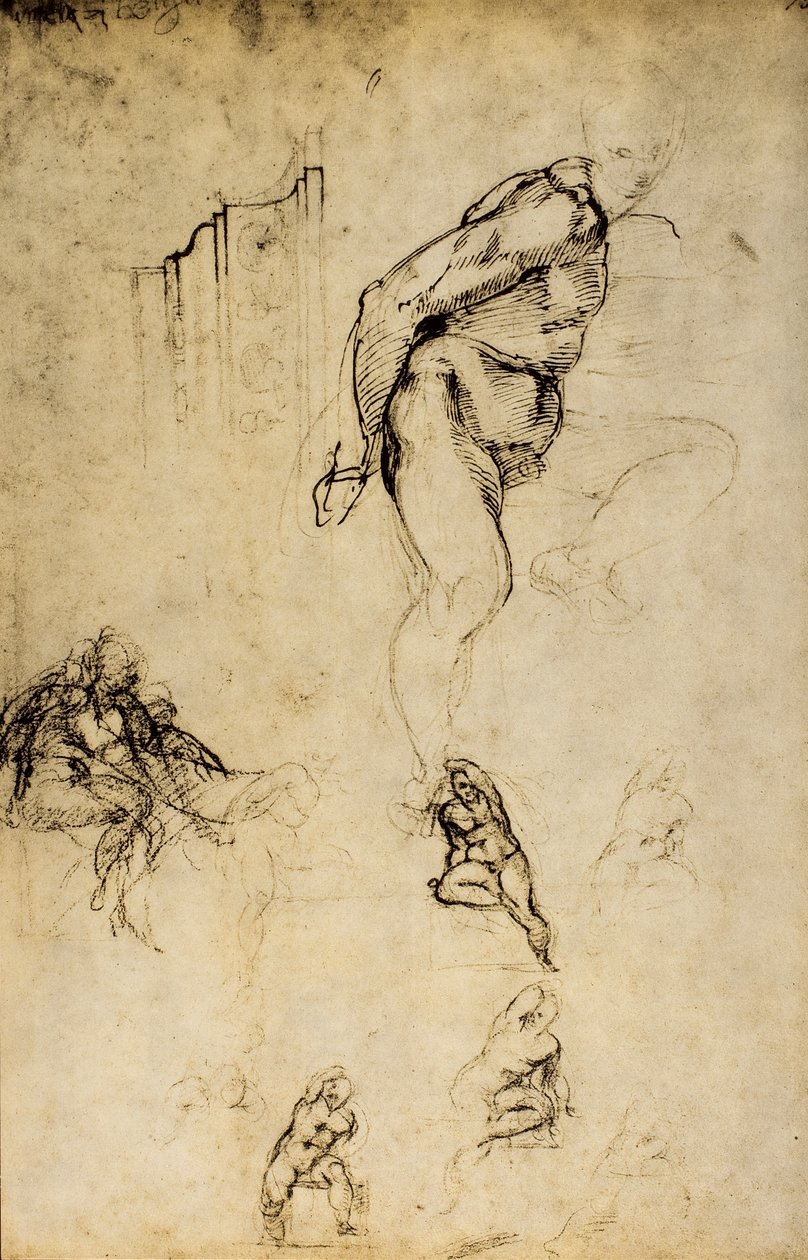 Studio di forme maschili, disegno di Michelangelo. Casa Buonarroti, Firenze da Michelangelo Buonarroti